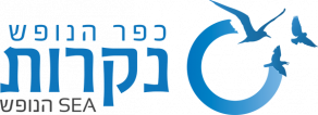 ספא בכפר הנופש נקרות - ראש הנקרה